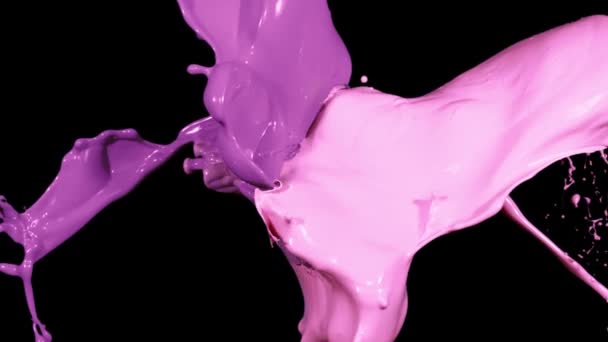Salpicaduras de pintura púrpura y rosa en macrofotografía — Vídeos de Stock