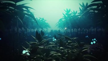 Sihirli ormanda bir yürüyüş