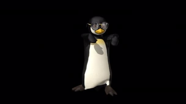 Pingouin animé dansant sur fond noir — Video