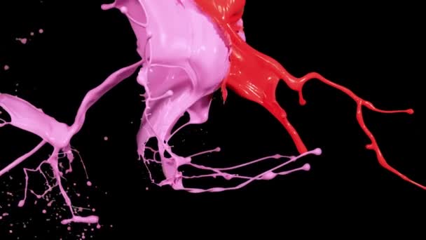 Splashes of purple and red paint in macro photography — Vídeo de Stock