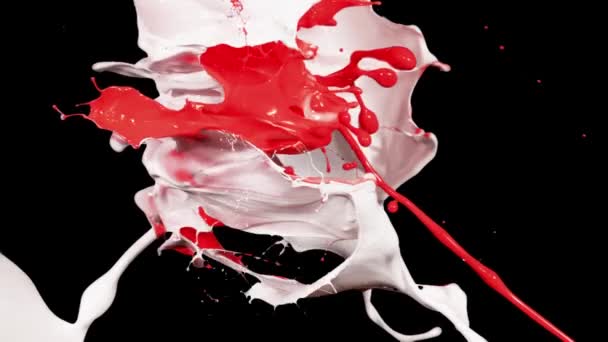 Salpicaduras de pintura blanca y roja en macrofotografía — Vídeo de stock