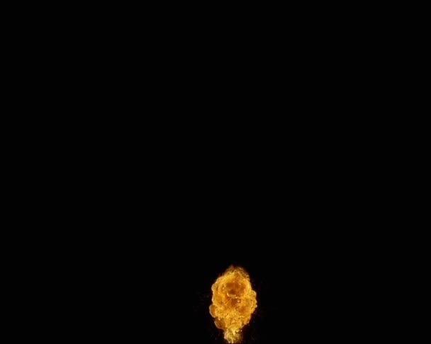 여러 방향으로 빛나고 있는 불타는 불꽃의 혀. — 비디오
