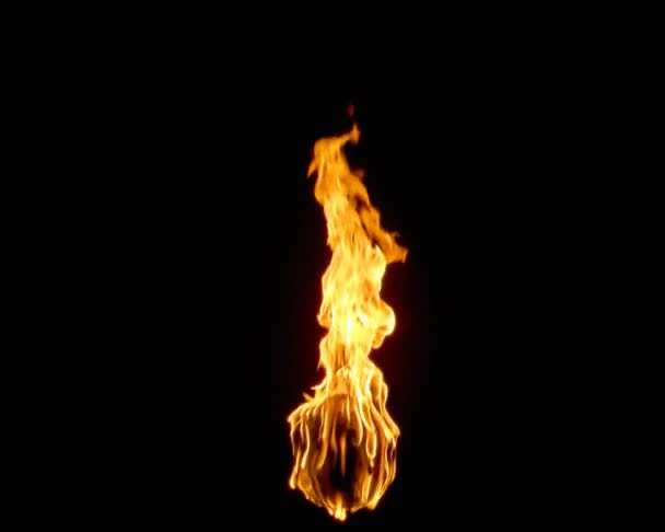 Языки огненного пламени мерцают в разных направлениях. — стоковое видео
