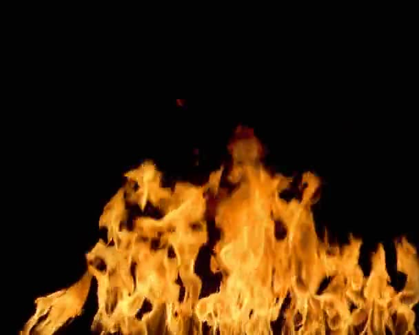 여러 방향으로 빛나고 있는 불타는 불꽃의 혀. — 비디오