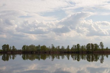 Suya yansıyan yeşil ağaçlar mavi bulutlar Ukrayna