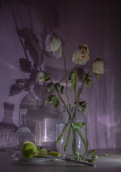 Bouquet Rose Molli Belle Ombre Dal Mistero Atmosferico Dell Acqua — Foto Stock