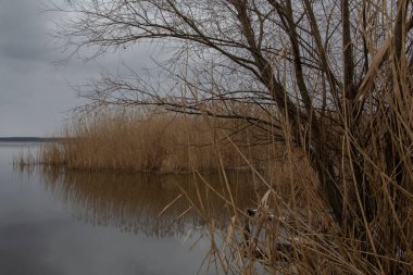 Nehir ve gölü olan güzel bir manzara.