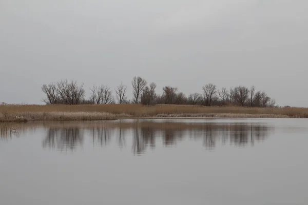 Landscape Ukraine River Bank Spring Autumn Minimalism Shades Gray — Photo