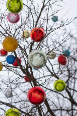 Büyük Noel topları ağaç dallarına asılı.