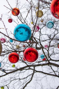 Büyük Noel topları ağaç dallarına asılı.