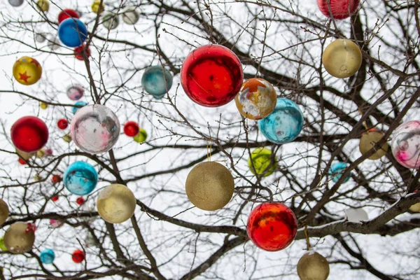 Pencerede asılı Noel ağacı ışıkları.