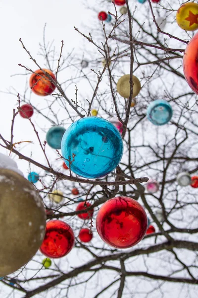 Büyük Noel topları ağaç dallarına asılı.