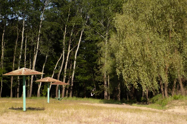 Praia Abandonada Com Pavilhões Cogumelos Floresta — Fotografia de Stock