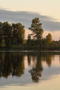 Nehir kıyısında yaz tatili için iskemle yatağı.