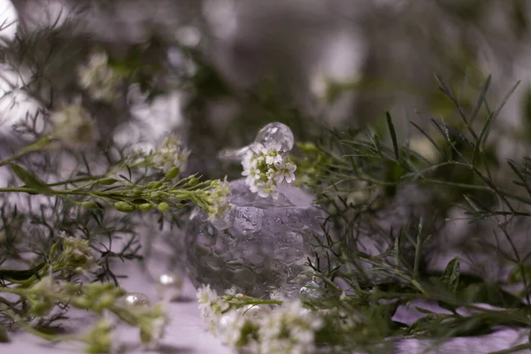 Vacker Utsikt Över Naturen — Stockfoto