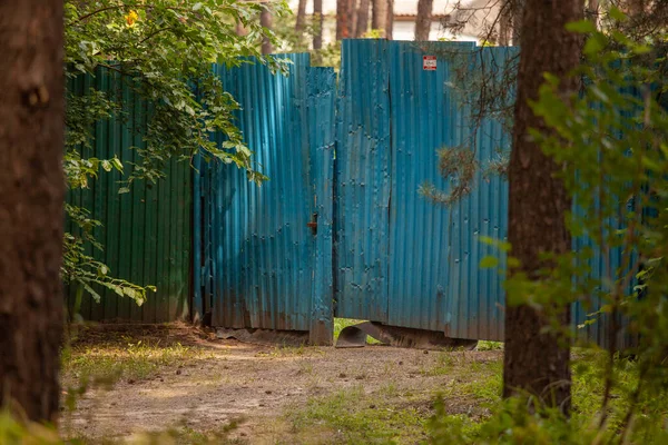 Blue old iron gates near a house