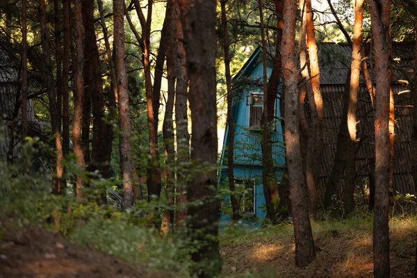 Hut Huis Het Bos — Stockfoto