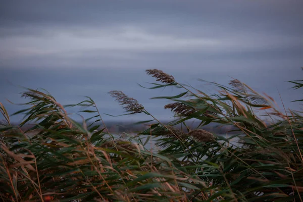 Vacker Utsikt Över Naturen — Stockfoto