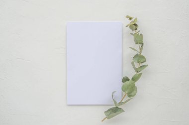 Beyaz masa üzerindeki beyaz yaprak okaliptüs dallarıyla süslenmiş. Modelleme. Üst görünüm