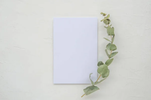 Beyaz masa üzerindeki beyaz yaprak okaliptüs dallarıyla süslenmiş. Modelleme. Üst görünüm