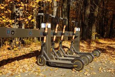 Sonbahar parkının caddesindeki otoparkta kiralık elektrikli scooterlar. 