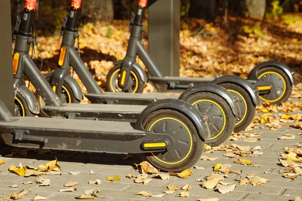 Scooters eléctricos en alquiler en el estacionamiento en la calle en el parque de otoño de cerca — Foto de Stock