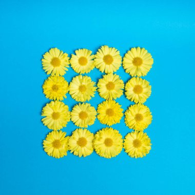 Çiçeklerden yapılmış sarı kare. Mavi arka plan. Güzel ve modaya uygun bir fotoğraf.. 