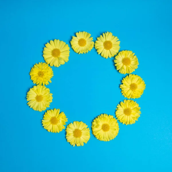 Círculo Amarelo Feito Flores Fundo Azul Foto Legal Moda — Fotografia de Stock