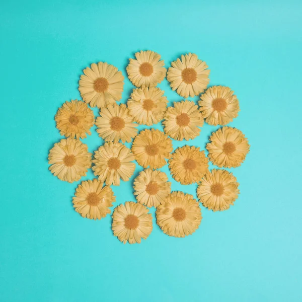 Πορτοκαλί Κύκλος Από Λουλούδια Ανοιχτό Πράσινο Φόντο Δροσερή Και Μοντέρνα — Φωτογραφία Αρχείου