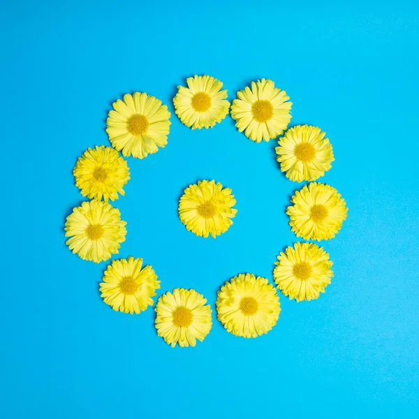 Círculo Amarelo Feito Flores Fundo Azul Foto Legal Moda — Fotografia de Stock