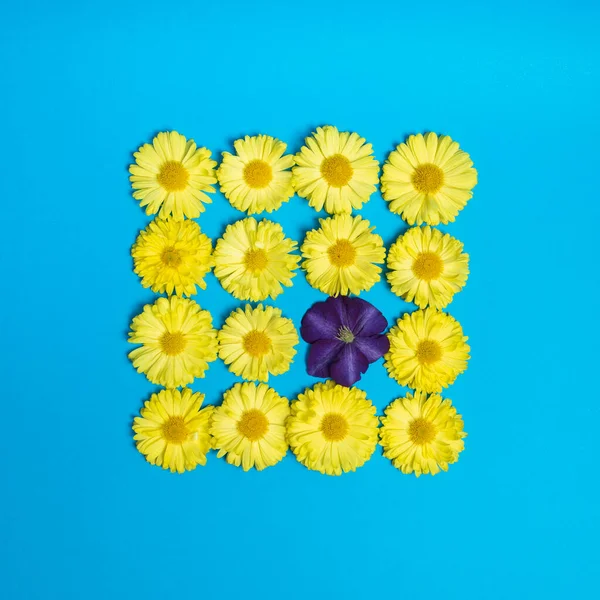 Yellow square made of flowers. Blue background. Cool and trendy photo.