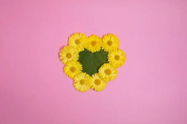 Flores Amarelas Fundo Rosa Decoração Fixe Moderna Forma Coração — Fotografia de Stock