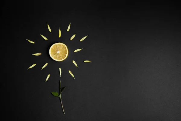 Limão Como Uma Planta Amarela Fundo Preto — Fotografia de Stock