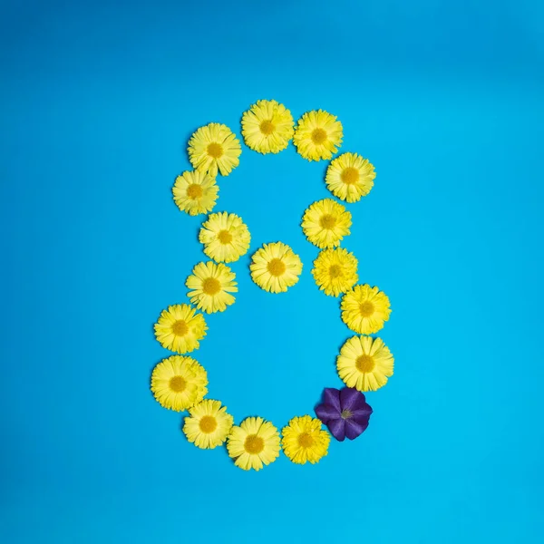Número Oito Feito Floews Amarelos Fundo Azul Wiht Uma Flor — Fotografia de Stock