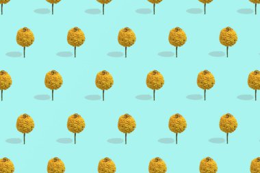 Sarı çiçeklerden yapılmış modaya uygun nane deseni. Yepyeni bir arkaplan. Minimum ve çiçekli konsept.