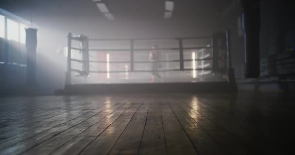 Kobieta rasy kaukaskiej Sportowiec walczący z cieniem w ringu bokserskim, trening, przygotowanie do turnieju - fitness, koncepcja sportowa. Kobiety Pociągi Ciosy Patrząc Bezpośrednio — Wideo stockowe