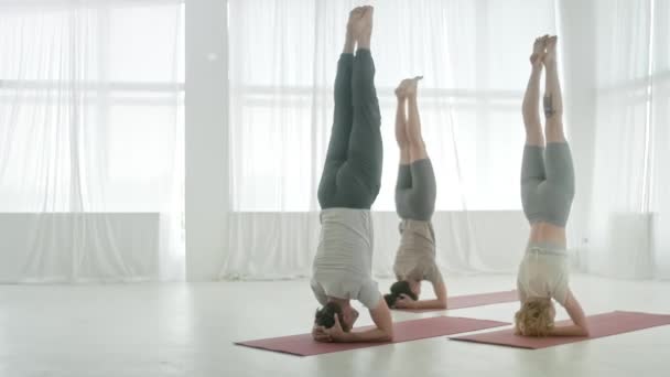 Clase de yoga. Gente haciendo Asanas de Yoga en Bright Studio. Ashtanga Yoga. Cabeza - Shirshasana Cuerpo relajante. Concepto Salud, Meditación y Bienestar. — Vídeo de stock