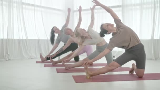 Yoga sınıfı. Dört Kadın Parlak Stüdyoda Yoga Asanas Yapıyor. Ashtanga Yogası. Rahatlatıcı vücut. Sağlık, Meditasyon ve Sağlık Konsepti. — Stok video