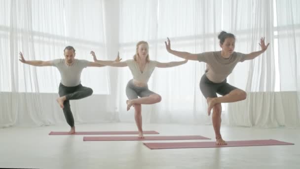 Τρεις νέες γυναίκες και ο άνθρωπος στην τάξη γιόγκα κάνει άσκηση ισορροπίας και τεντώνοντας Sports Yoga. Ομαδική Άσκηση και Τέντωμα Υγιεινός τρόπος ζωής στο Bright Fitness Studio και Γυμναστική Τάξη — Αρχείο Βίντεο