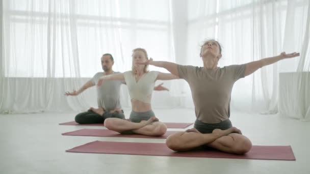 Jonge Sportieve Aantrekkelijke Mensen die Yoga Lessen met Instructeur oefenen. Ontspannende lichaam. Gezondheid, Meditatie en Welzijn Concept. — Stockvideo