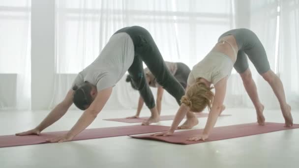 Yoga sınıfındaki beş genç kadın ve erkek, meditasyon egzersizleri. Fitness Stüdyosu ve Jimnastik sınıfında Sağlıklı Yaşam Tarzı Uzatmak ve Egzersiz Grubu — Stok video