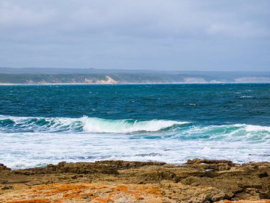 Çarpışan dalgalar kıyıya yiyecek getiriyor..