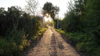 Rusya 'nın Sibirya kenti Tomsk' taki bir kır yolu.