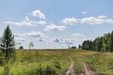 Sonsuz tarlalara inanılmaz bir manzara 