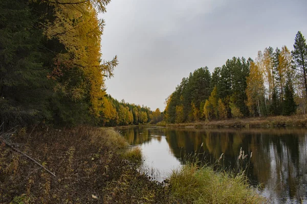 Šíleně Krásná Podzimní Příroda Divočině — Stock fotografie
