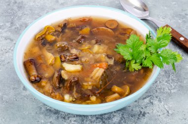 Yaban mantarlı lezzetli sıcak çorba. Stüdyo Fotoğrafı