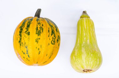 Beyaz arka planda izole edilmiş farklı şekil ve çeşitteki küçük balkabakları. Stüdyo Fotoğrafı