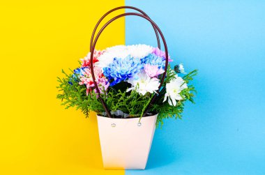 Renkli arka planda sepette dekoratif kasımpatı çiçekleri. Stüdyo Fotoğrafı