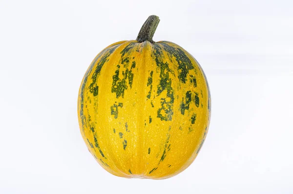 Small Pumpkins Different Shapes Varieties Isolated White Background Studio Photo — Stock Photo, Image