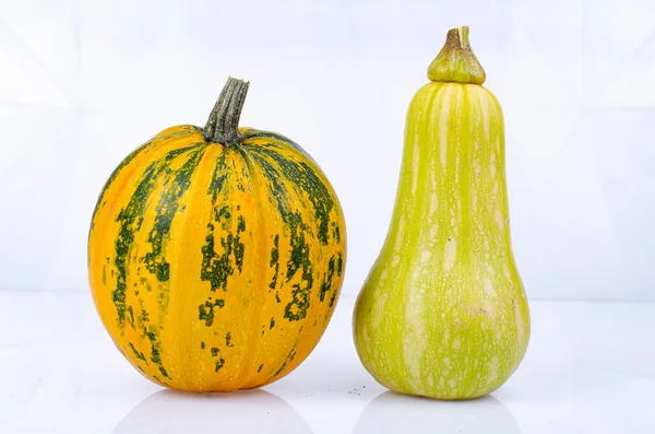 Small Pumpkins Different Shapes Varieties Isolated White Background Studio Photo — Stock Photo, Image